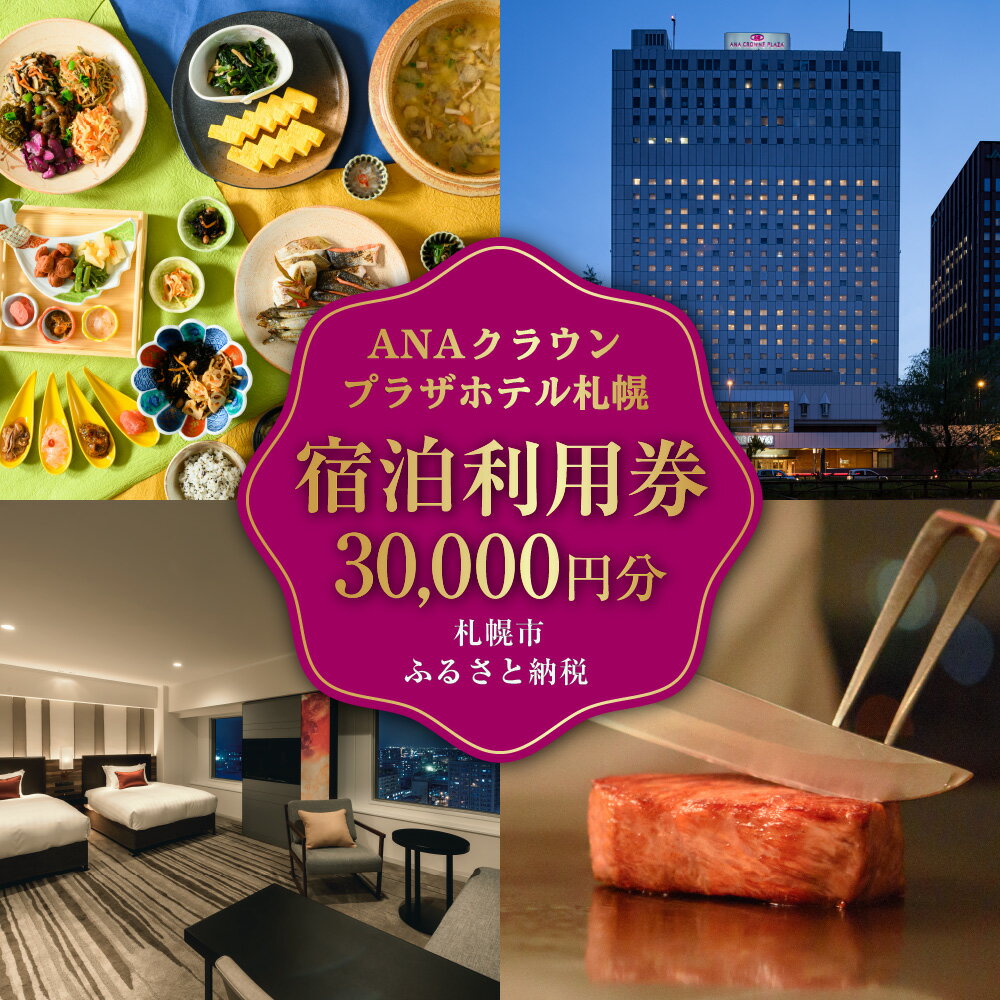 宿泊券 30,000円分 ホテル 宿泊 旅行 券 旅行券 国内旅行 チケット クーポン トラベル 観光 ビジネス 出張 宿泊利用券 3万円分 ANAクラウンプラザホテル札幌 IHGグループ 北海道 札幌市