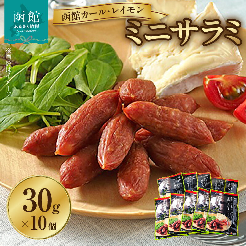 【ふるさと納税】函館 カールレイモン ミニサラミ 30g 10個 セット サラミ ギフト ソーセージ チョリソー 個包装 国産 北海道 ポーク あらびき ウィンナー 食品 豚肉 牛肉 肉 ドイツ ニッポンハム 簡単調理 おつまみ つまみ 送料無料 7686847