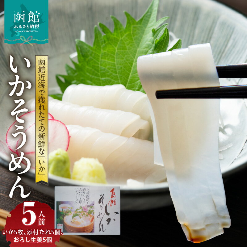 【ふるさと納税】函館いかそうめん　5人前