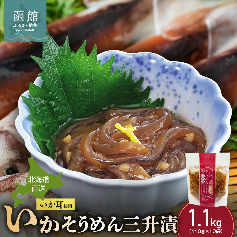 【ふるさと納税】道水 いかそうめん 三升漬 いか耳 使用 110g × 10袋 計 1.1kg 北海道直送 するめいかの耳 コリコリ 歯ごたえ ピリ辛 おつまみ おかず イカ塩辛 魚介類 晩酌 酒の肴 海鮮 お取り寄せ お取り寄せグルメ 北海道 函館 送料無料
