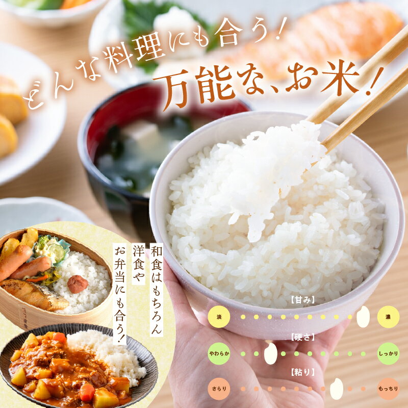 【ふるさと納税】【R7年産 新米】2025年産 ふっくりんこ 5kg 北海道産 和洋食 食感 上品 甘み ふっくら 炊き上がり やわらか 口当たり 料理 万能 産地 こだわり 精米したて 白米 お米 自然 水 ギフト お中元 贈り物 贈答 お取り寄せ 産地直送 北海道 函館市 送料無料 - 画像3