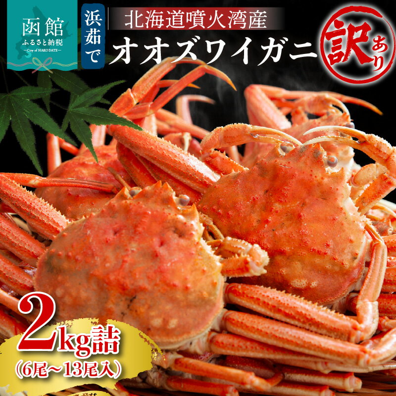 【ふるさと納税】【訳あり】 【2026年2月発送　先行予約】浜茹で オオズワイガニ 2kg 詰め セット 噴火湾産 新鮮 急速冷凍 足折れ 足もげ 2枚皮 身入り 解凍するだけ 茹でたて かに 味わい 家庭用 海鮮 海の幸 お取り寄せ グルメ 北海道 函館市 送料無料