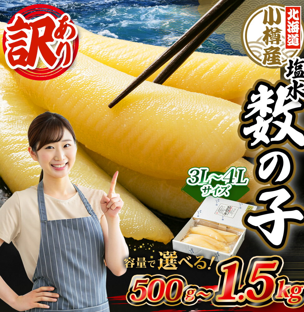 【ふるさと納税】北海道 小樽産 訳あり 塩水 数の子 10000円 ～ 40000円 1万円 ～ 4万円 | 訳あり 不揃い 数の子 かずのこ 魚卵 珍味 お正月 おせち お節 おせち料理 ワケアリ 国産 お取り寄せ 冷蔵 クール便 小樽市 北海道 送料無料 サムネイル2