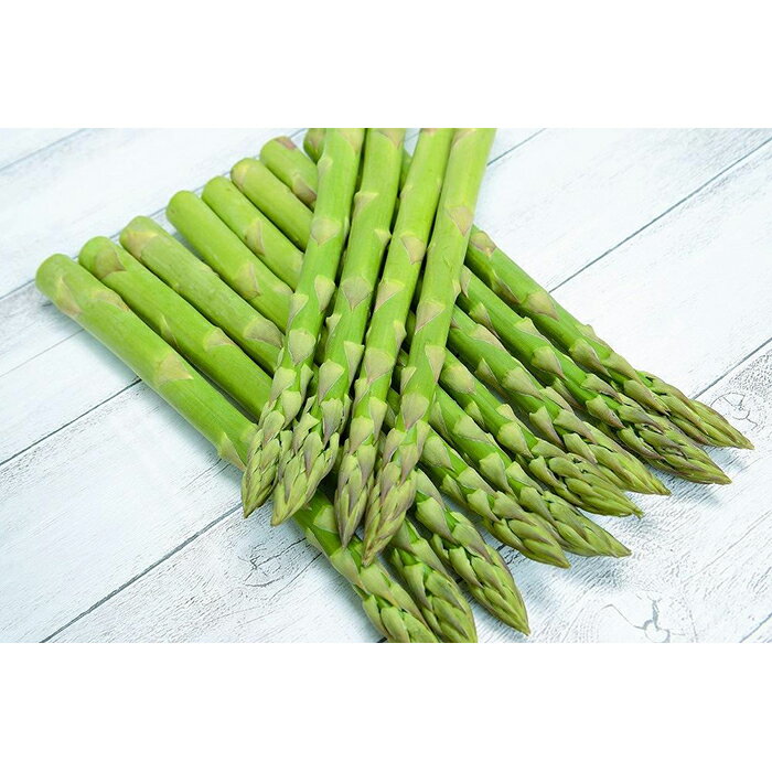 【ふるさと納税】旭川産朝もぎ！グリーンアスパラガス2L～3Lサイズ1.0kg(2026年5月中旬発送開始予定)_01940 | アスパラ アスパラガス 春 とれたて 産直 野菜 朝どれ 旭川市 北海道 送料無料 - 画像2
