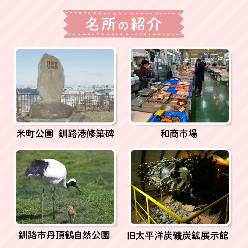 【ふるさと納税】釧路市在住観光クリエーター 原田カーナさんがご案内する釧路市タクシー観光プラン 釧路市内満喫コース（普通車） 定員3名 金星釧路ハイヤー 観光 タクシー ハイヤー 観光スポット 旅行 トラベル 北海道 釧路 F4F-5955 - 画像3