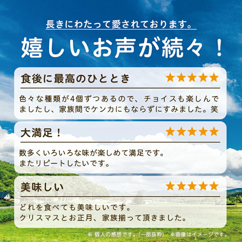 【ふるさと納税】十勝白い牧場アイスクリーム(17個/24個)_ アイス スイーツ ジェラート デザート 食べ比べ 詰め合わせ セット 北海道 帯広 人気 美味しい バニラ ストロベリー チョコ 【配送不可地域：離島】【G1205885】 サムネイル2