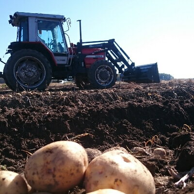 【ふるさと納税】【十勝ガールズ農場】直送!新じゃが「カラフルポテト(彩りじゃがいも)」いろいろ試せる「7種」5kg!【配送不可地域：離島】【1146704】 - 画像3
