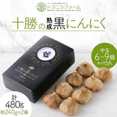 黒にんにく レギュラー (中玉6～9個+バラ入) ×2箱 計480g【1205011】