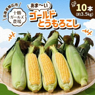 先行予約【十勝ガールズ農場】直送 朝もぎつぶつぶ「あま～いゴールドとうもろこし」10本_ とうもろこし ゴールドラッシュ 十勝産 朝収穫 冷蔵 チルド発送 十勝ガールズ農場 送料無料 北海道 帯広市 【配送不可地域：離島】【1462030】