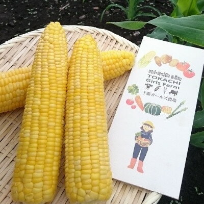 【ふるさと納税】先行予約【十勝ガールズ農場】直送 朝もぎつぶつぶ「あま～いゴールドとうもろこし」10本_ とうもろこし ゴールドラッシュ 十勝産 朝収穫 冷蔵 チルド発送 十勝ガールズ農場 送料無料 北海道 帯広市 【配送不可地域：離島】【1462030】 - 画像2
