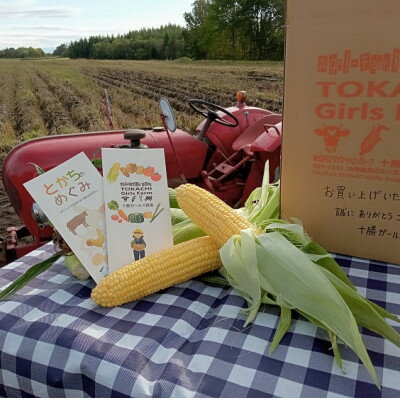 【ふるさと納税】先行予約【十勝ガールズ農場】訳あり 直送 朝もぎつぶつぶ「あま～いゴールドとうもろこし」25本_ 訳あり とうもろこし ゴールドラッシュ 十勝産 朝収穫 冷蔵 チルド発送 十勝ガールズ農場 送料無料 北海道 帯広市 【配送不可地域：離島】【1462031】 - 画像2