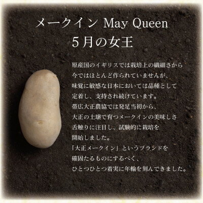 【ふるさと納税】大正メークインじゃがバター20個入【5個入×4】【1464529】 - 画像3