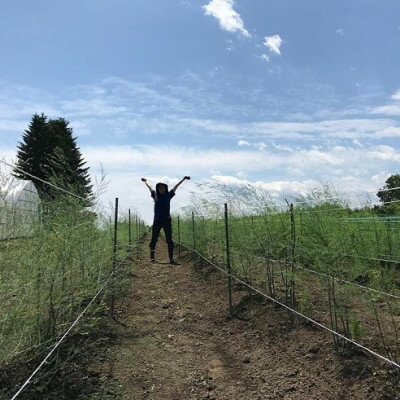 【ふるさと納税】先行予約【十勝ガールズ農場】雪解け水のグリーンアスパラガス ML混合 1kg_ グリーンアスパラガス アスパラガス 野菜 十勝 とかち 北海道 帯広市 送料無料 【配送不可地域：離島】【1490693】 - 画像3