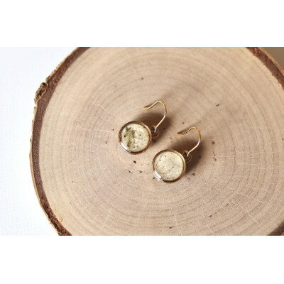 白樺樹皮ピアス【1492414】