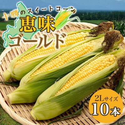 【2026年 先行予約】十勝 恵味ゴールド 10本 2Lサイズ 甘いスイートコーン 北海道 帯広市【配送不可地域：離島】【1499657】