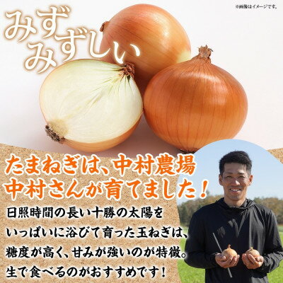 【ふるさと納税】十勝 玉ねぎ 5kg メークイン じゃがいも 5kg 計10kg 農家さんのお野菜 北海道 帯広市【1514129】 - 画像2