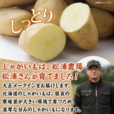 【ふるさと納税】十勝 玉ねぎ 5kg メークイン じゃがいも 5kg 計10kg 農家さんのお野菜 北海道 帯広市【1514129】 - 画像3