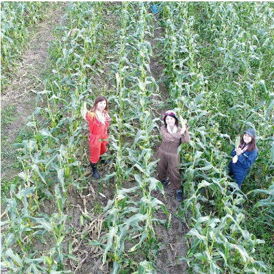 【ふるさと納税】【発送月固定定期便】直送!【北海道を満喫便】十勝ガールズ農場の野菜セレクション全5回_ やさい 野菜 旬の野菜定期便 アスパラガス ヤングコーン とうもろこし 新じゃが さつまいも 産地直送 北海道 帯広市 送料無料 【配送不可地域：離島】【4012918】 - 画像3