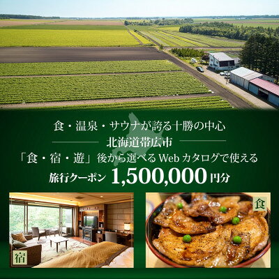 【北海道ツアー】帯広市 後から選べる旅行Webカタログで使える!旅行クーポン 150万円分【1181753】
