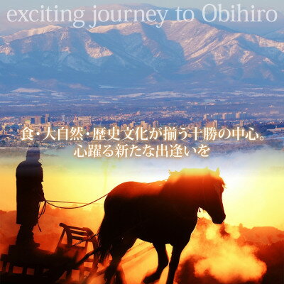 【ふるさと納税】【北海道ツアー】帯広市 後から選べる旅行Webカタログで使える!旅行クーポン 150万円分【1181753】 - 画像2