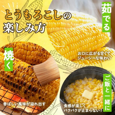 【ふるさと納税】【2026年 先行予約】十勝 恵味ゴールド 10本 2Lサイズ 甘いスイートコーン 北海道 帯広市【配送不可地域：離島】【1499657】 - 画像3