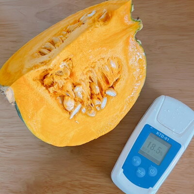 【ふるさと納税】北海道帯広市産　かぼちゃ「きみまろん」10kg　糖度15～19【1548011】 - 画像2