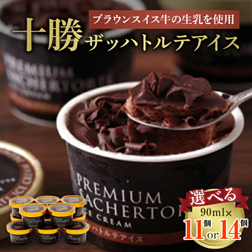 十勝ザッハトルテアイス(11個/14個)【配送不可地域：離島】【G1469793】