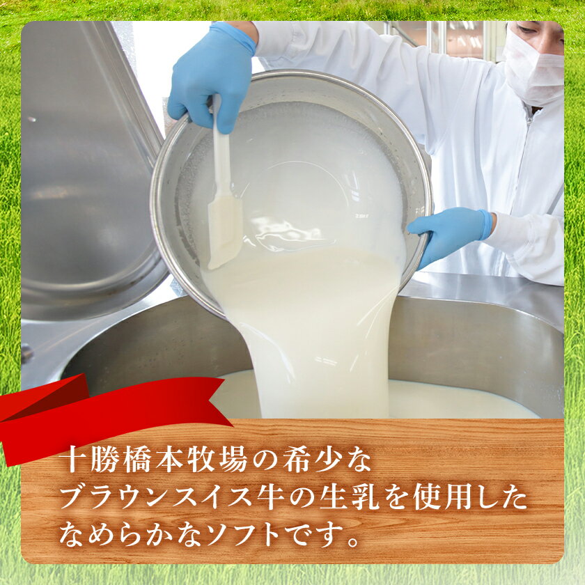 【ふるさと納税】十勝橋本牧場プレミアムソフト(12個/16個)_ ソフトクリーム 北海道 帯広 十勝 いちご キャラメル セット 人気 おすすめ 送料無料 贈答 ギフト スイーツ おやつ 【配送不可地域：離島】【G1473537】 サムネイル3