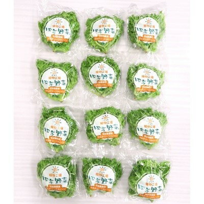 四季野菜(マルチリーフクイーン)80g×12袋【1206470】