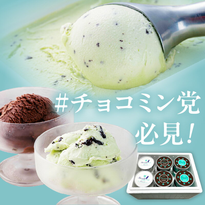 【ふるさと納税】ミントジェラート カップ 6個〜36個 120ml 1L( ジェラート アイス アイスクリーム ハッカ チョコ ミント ミントアイス スイーツ ファミリーパック カカオ カップアイス ) サムネイル3