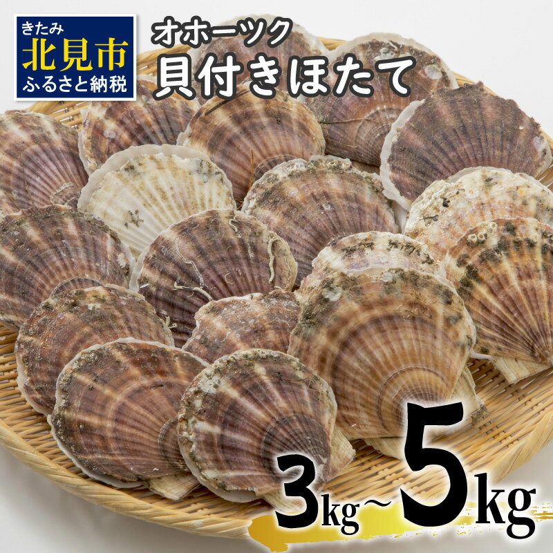 【予約：2026年3月下旬から順次発送】オホーツク貝付きほたて 3kg 5kg ( 海鮮 魚介 魚介類 貝 貝類 ホタテ ほたて 帆立 殻付き 貝柱 贈答 ギフト 贈り物 お中元 お祝い BBQ バーベキュー )