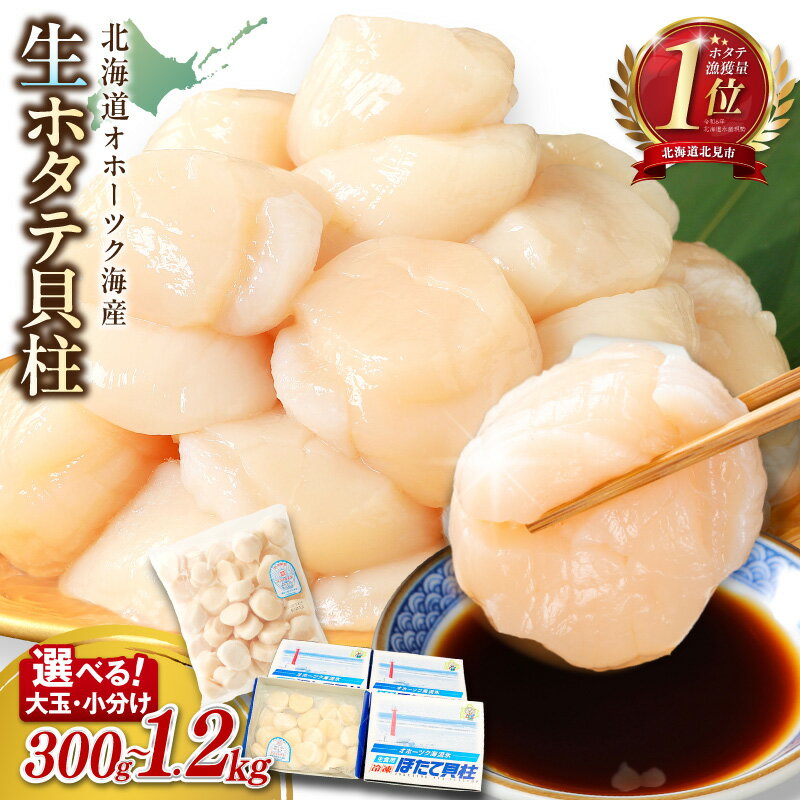 【味・クオリティ 最高品質 ホタテ】北海道オホーツク海産 ホタテ貝柱 300g〜1.2kg 生食用 ( ふるさと納税 ホタテ 貝柱 ふるさと納税 帆立 ふるさと納税 ランキング )