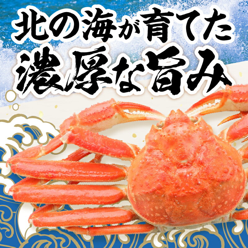 【ふるさと納税】【お歳暮】最短30営業日以内発送 本ズワイガニ ポーション 北海道 生食可 カット済 年内お届け カニしゃぶ 鍋 刺身 月指定可 選べる 内容量 800g 1600g【北見応援返礼品】 サムネイル2