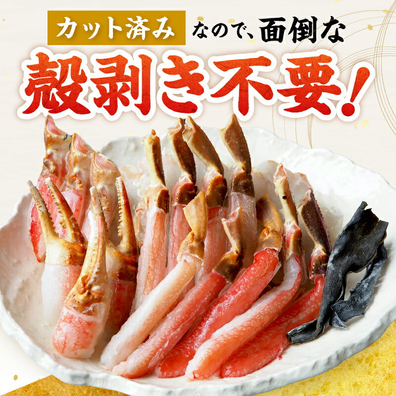 【ふるさと納税】【お歳暮】最短30営業日以内発送 本ズワイガニ ポーション 北海道 生食可 カット済 年内お届け カニしゃぶ 鍋 刺身 月指定可 選べる 内容量 800g 1600g【北見応援返礼品】 サムネイル3