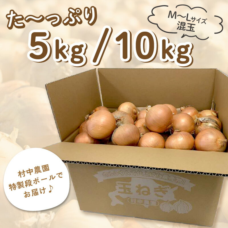 【ふるさと納税】＼11/10まで！／【予約：2025年9月中旬から順次発送】農家直送 村中さんちの玉ねぎ 5kg 10kg 混玉 M～Lサイズ ( タマネギ たまねぎ 玉葱 野菜 北海道産 詰合せ ) サムネイル3