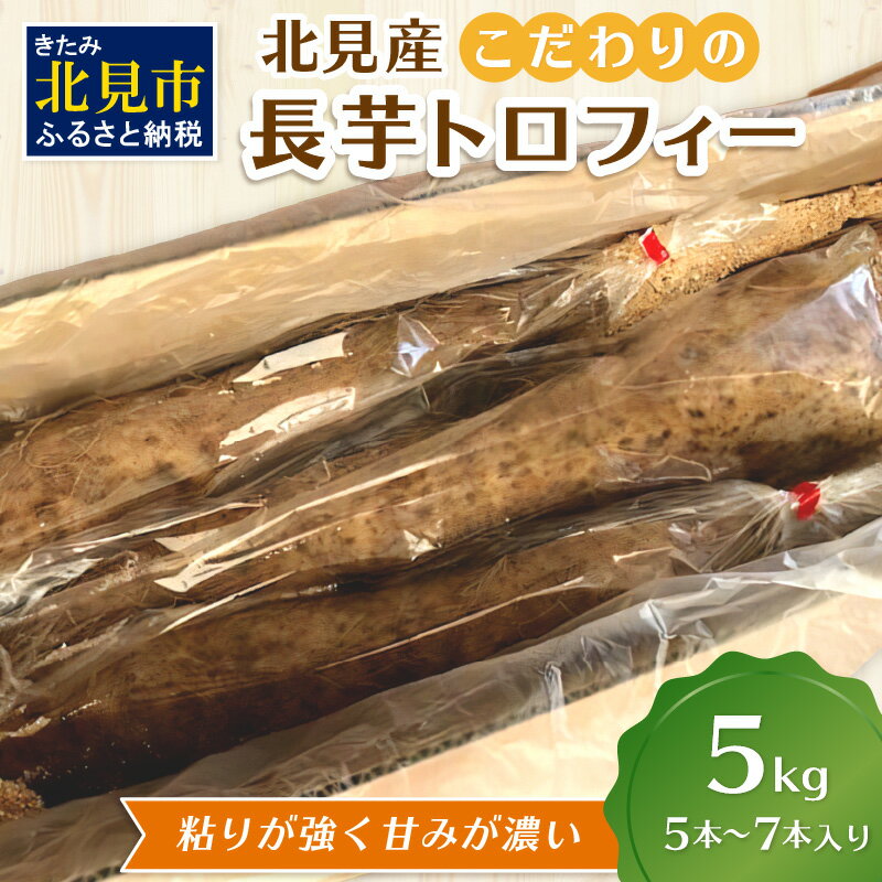 【予約：2026年11月下旬から順次発送】北見産こだわりの長芋トロフィー 5kg箱 ( 長いも ながいも 野菜 数量限定 期間限定 5キロ )