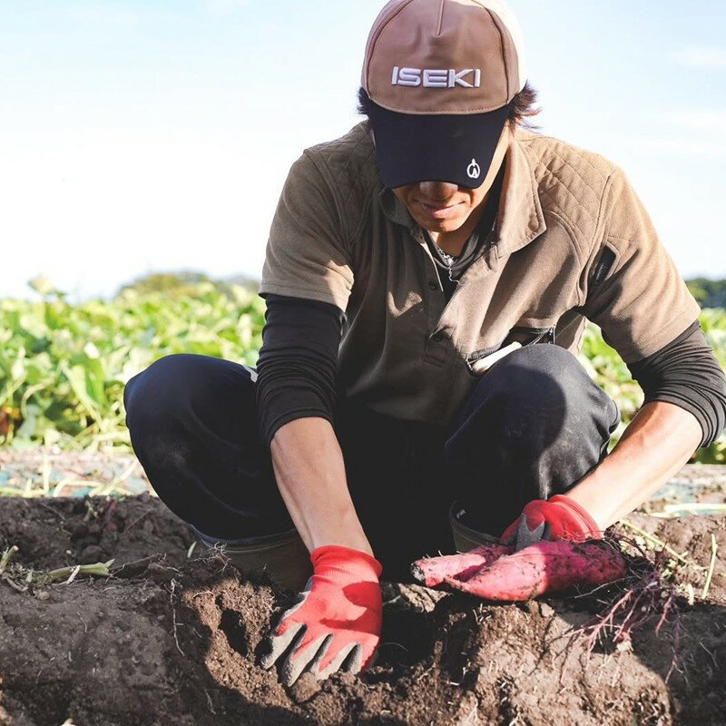 【ふるさと納税】【予約：2025年11月中旬から順次発送】北海道北見市常呂町産 サツマイモ オホーツクシルク 5kg - 画像3