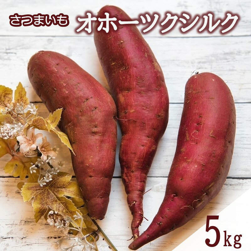 【予約：2025年11月中旬から順次発送】北海道北見市常呂町産 サツマイモ オホーツクシルク 5kg