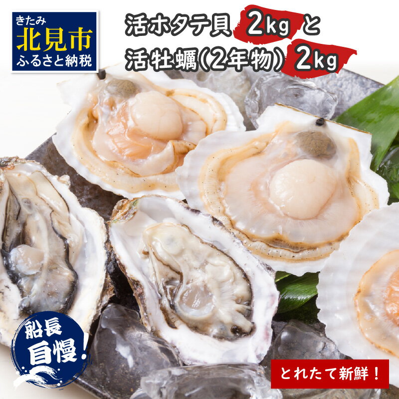 【予約：2025年10月中旬から順次発送】北海道 ホタテ 牡蠣 セット 4kg