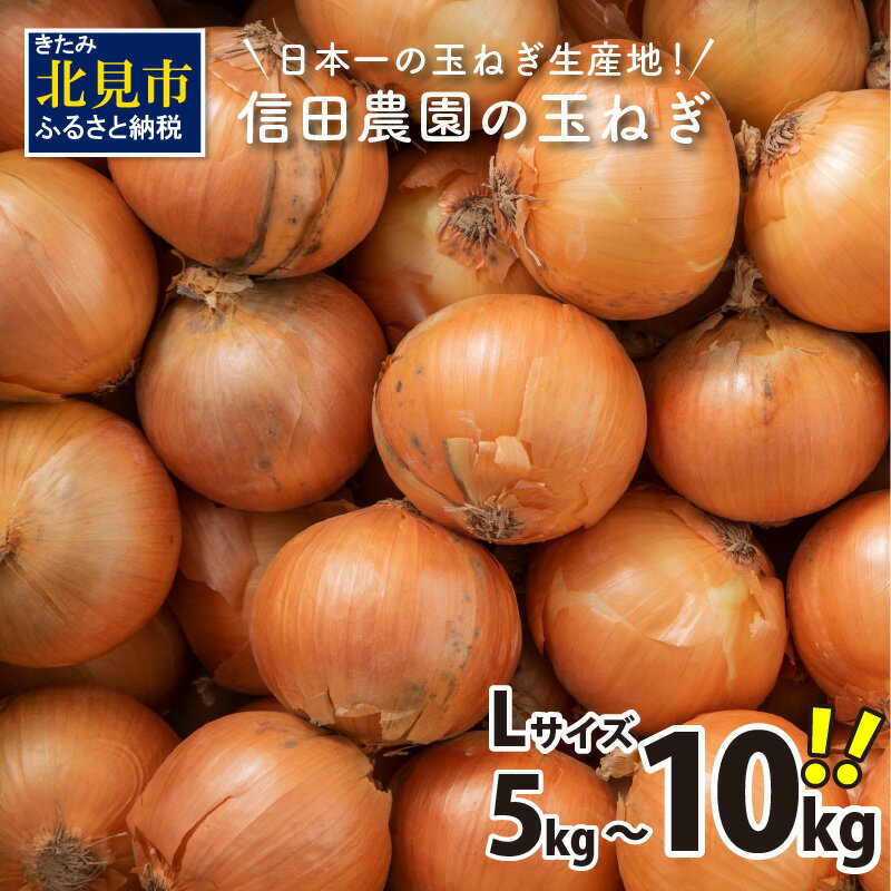 【予約】【選べる発送月】日本一 生産量 玉ねぎ 信田農園 5kg 10kg Lサイズ