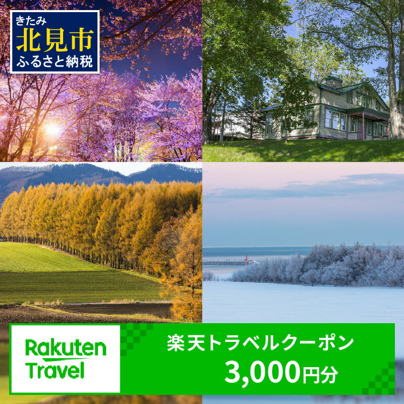 北海道北見市の対象施設で使える楽天トラベルクーポン 寄附額10,000円 旅行 クーポン チケット ふるさと納税 楽天トラベル