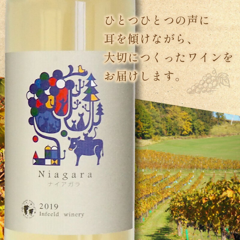 【ふるさと納税】《14営業日以内に発送》ナイアガラ2本セット ( ワイン お酒 酒 ぶどう セット ) サムネイル3