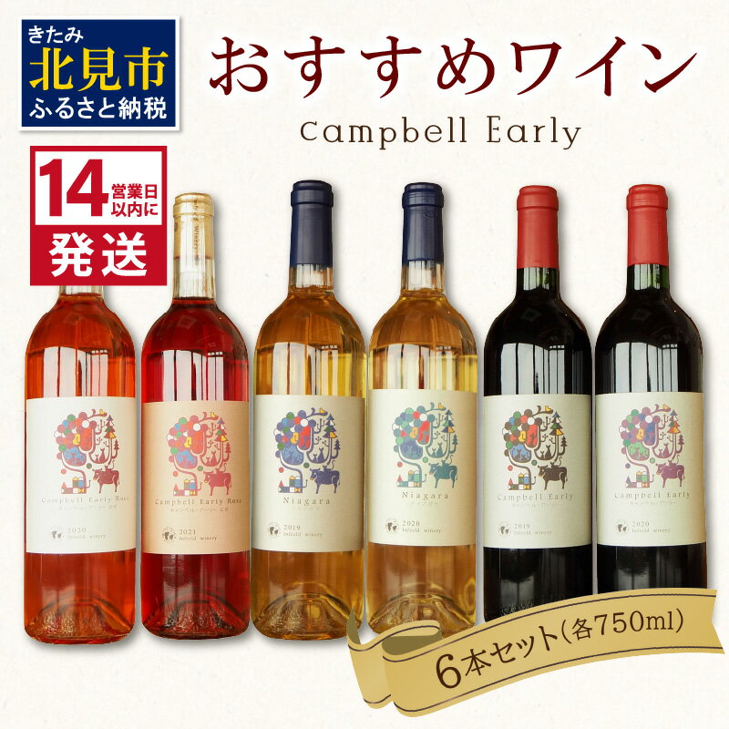 《14営業日以内に発送》おすすめワイン6本セット ( ワイン お酒 酒 ぶどう セット )