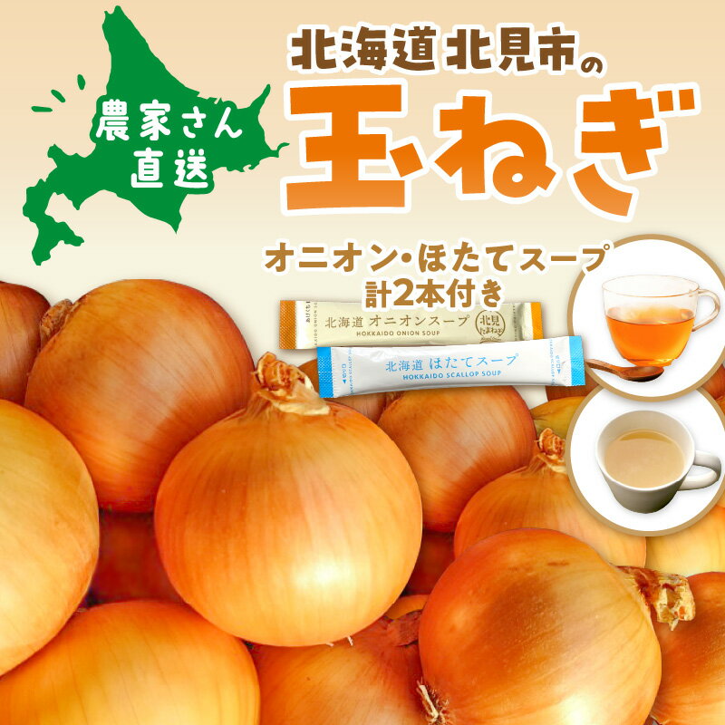 【ふるさと納税】【予約】【数量限定】生産量日本一位 玉ねぎ めばえ 2kg 5kg 10kg 20kg スープ付き たまねぎ - 画像2