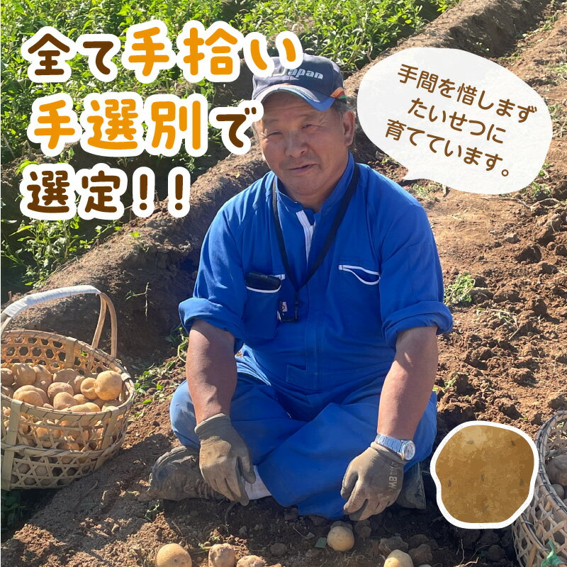 【ふるさと納税】【予約：2026年2月上旬から順次発送】【選べる3サイズ】宇野さんの手拾い、手選別の越冬ジャガイモ 1～10kg ( 芋 野菜 選べる 1kg 2kg 5kg 10kg ) - 画像3