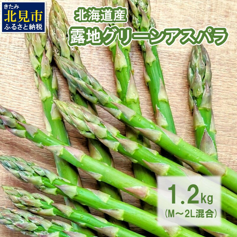 【予約】【朝採れ直送！】ほんのり甘い春の味覚！北海道の露地グリーンアスパラ 1.2kg M～2L混合サイズ ( アスパラガス グリーン 北海道 オホーツク 甘い 旬 サラダ 肉巻き)