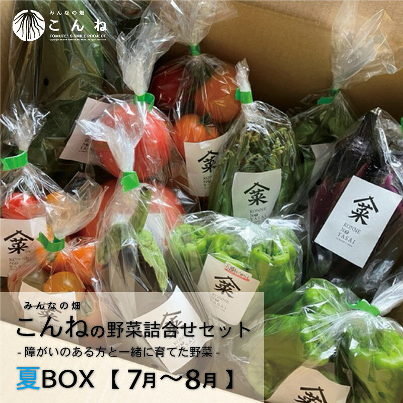 【予約：2026年7月下旬から順次発送】こんねの旬の野菜詰め合わせセット 夏BOX 7〜8月