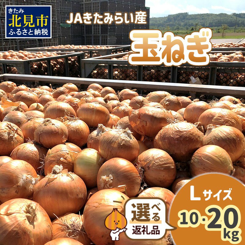 ★12月配送可能★【予約】JAきたみらい産 玉ねぎ Lサイズ 10kg 20kg