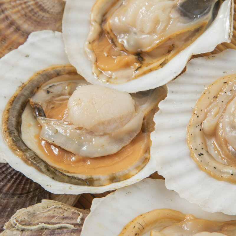 【ふるさと納税】【予約：2026年3月下旬から順次発送】オホーツク貝付きほたて 3kg 5kg ( 海鮮 魚介 魚介類 貝 貝類 ホタテ ほたて 帆立 殻付き 貝柱 贈答 ギフト 贈り物 お中元 お祝い BBQ バーベキュー ) - 画像3