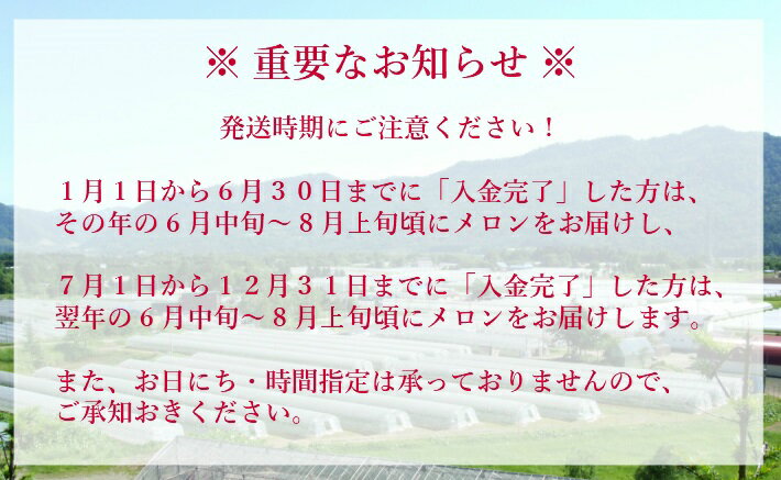 【ふるさと納税】【予約受付中】夕張メロン 2玉 （糖度11％以上　等級：優）　北海道夕張市 サムネイル2